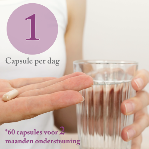 Femeno 3 - Mood & Intimacy